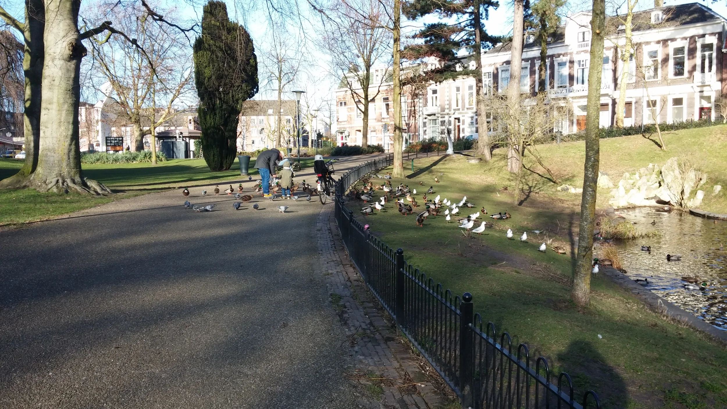 People feeding the ducks