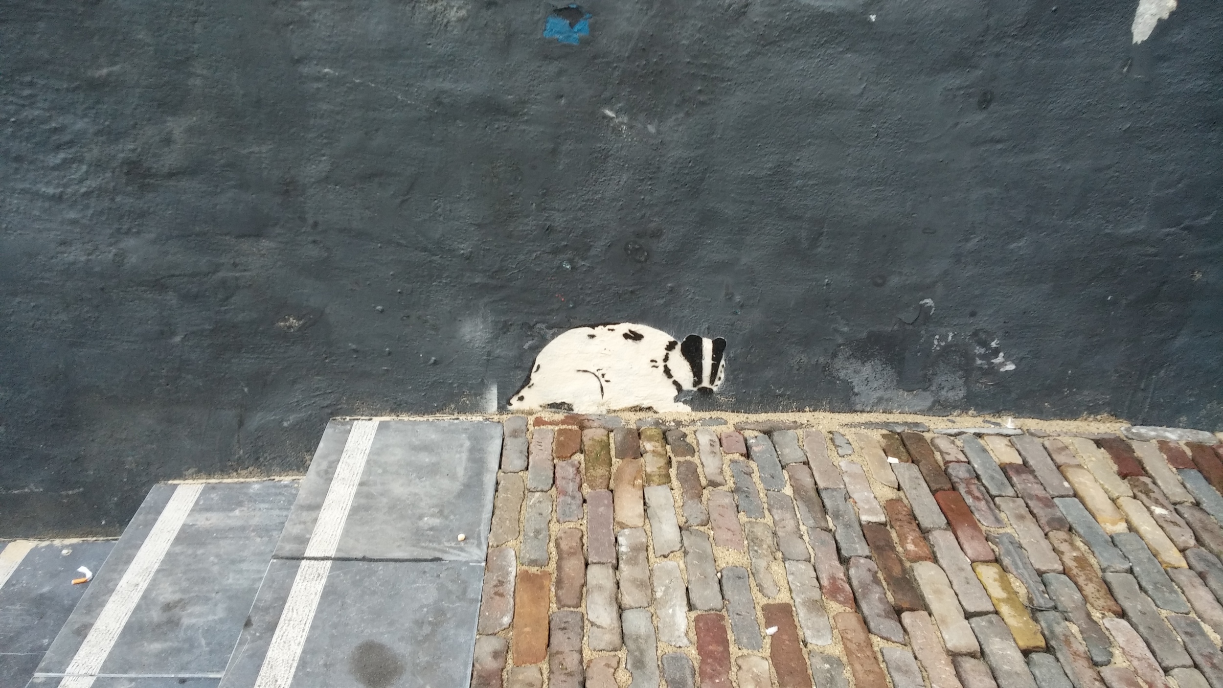 A skunk painted on a wall by the church.