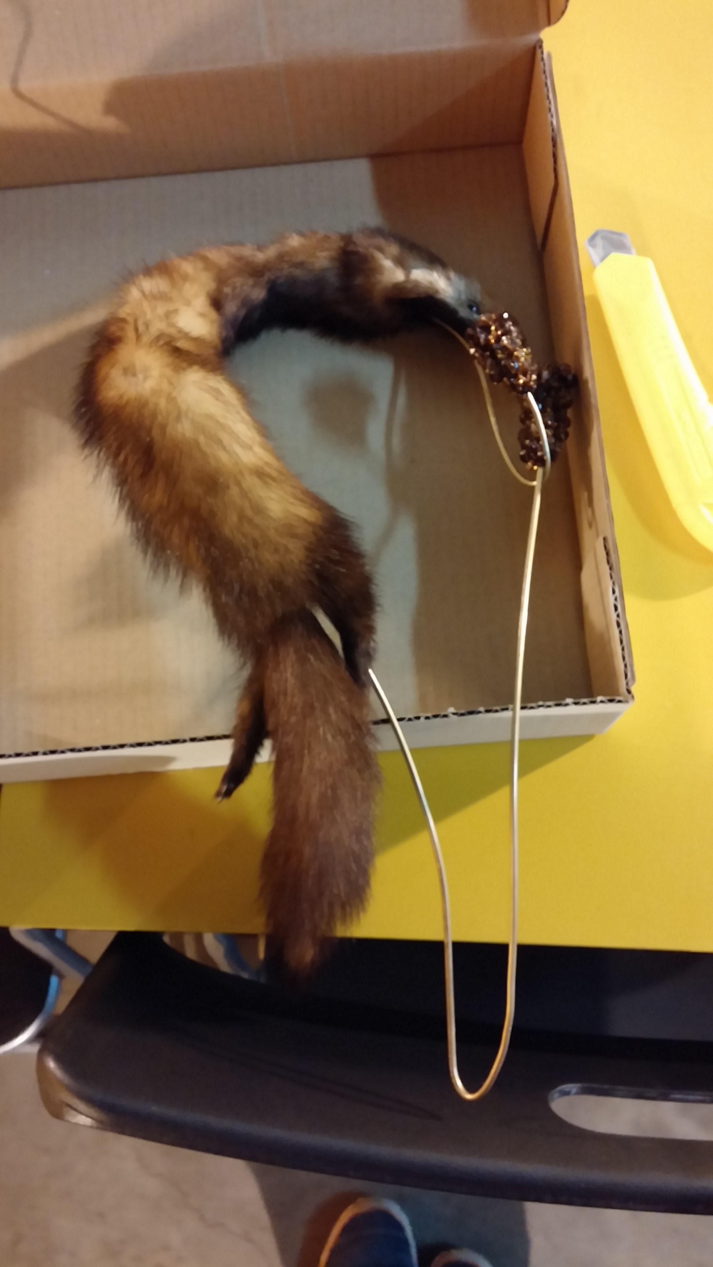 Afke Goldsteijn ( who made the rabbit necklace in this post ) came by the gallery this morning and brought some new furry friends!