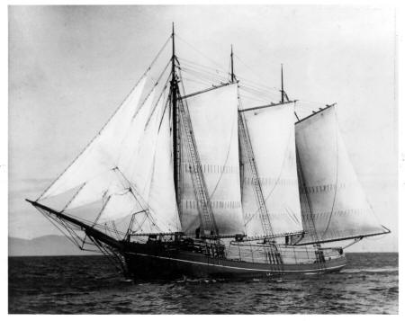 Wawona as lumber schooner.JPG