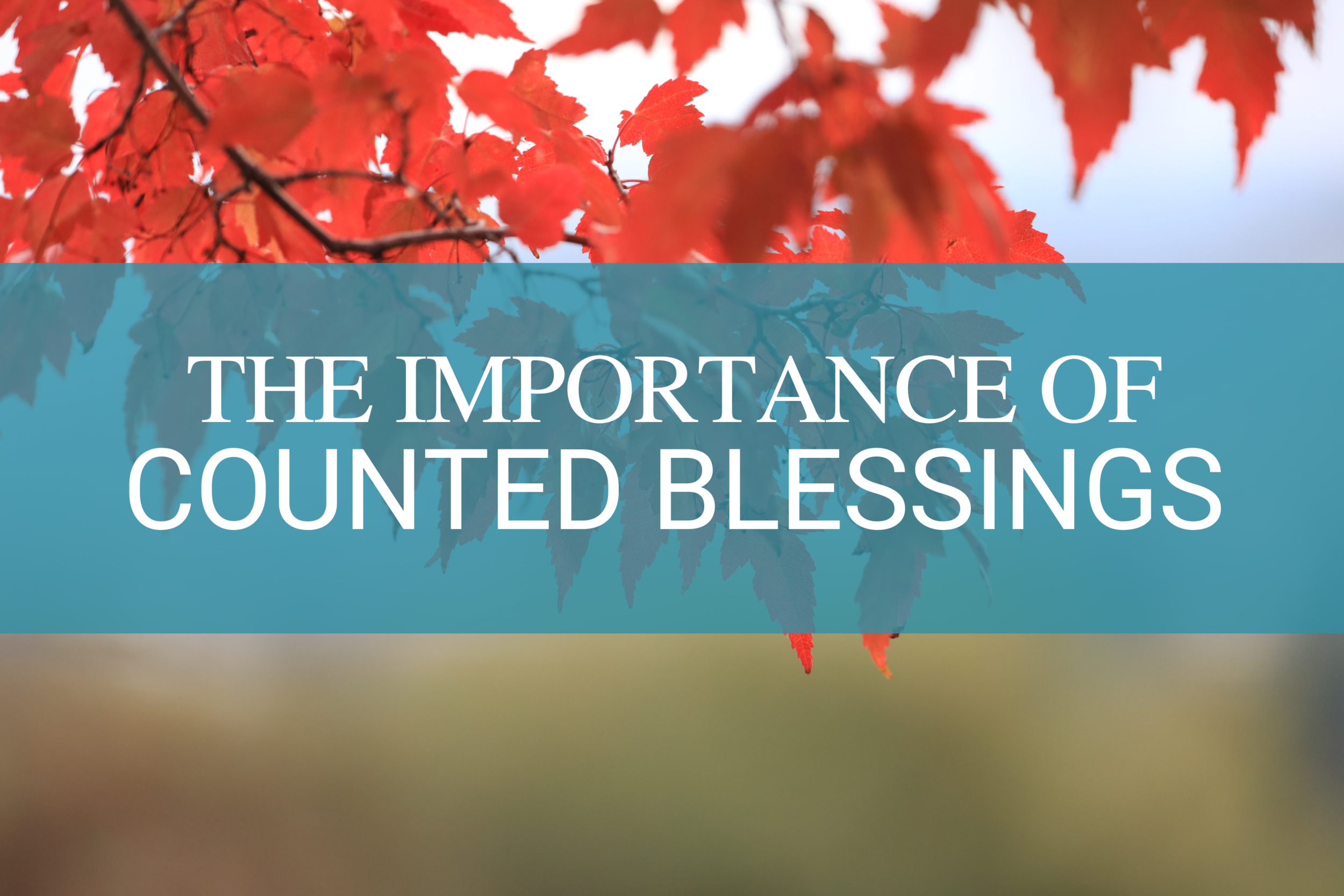 The Importance of Counted Blessings