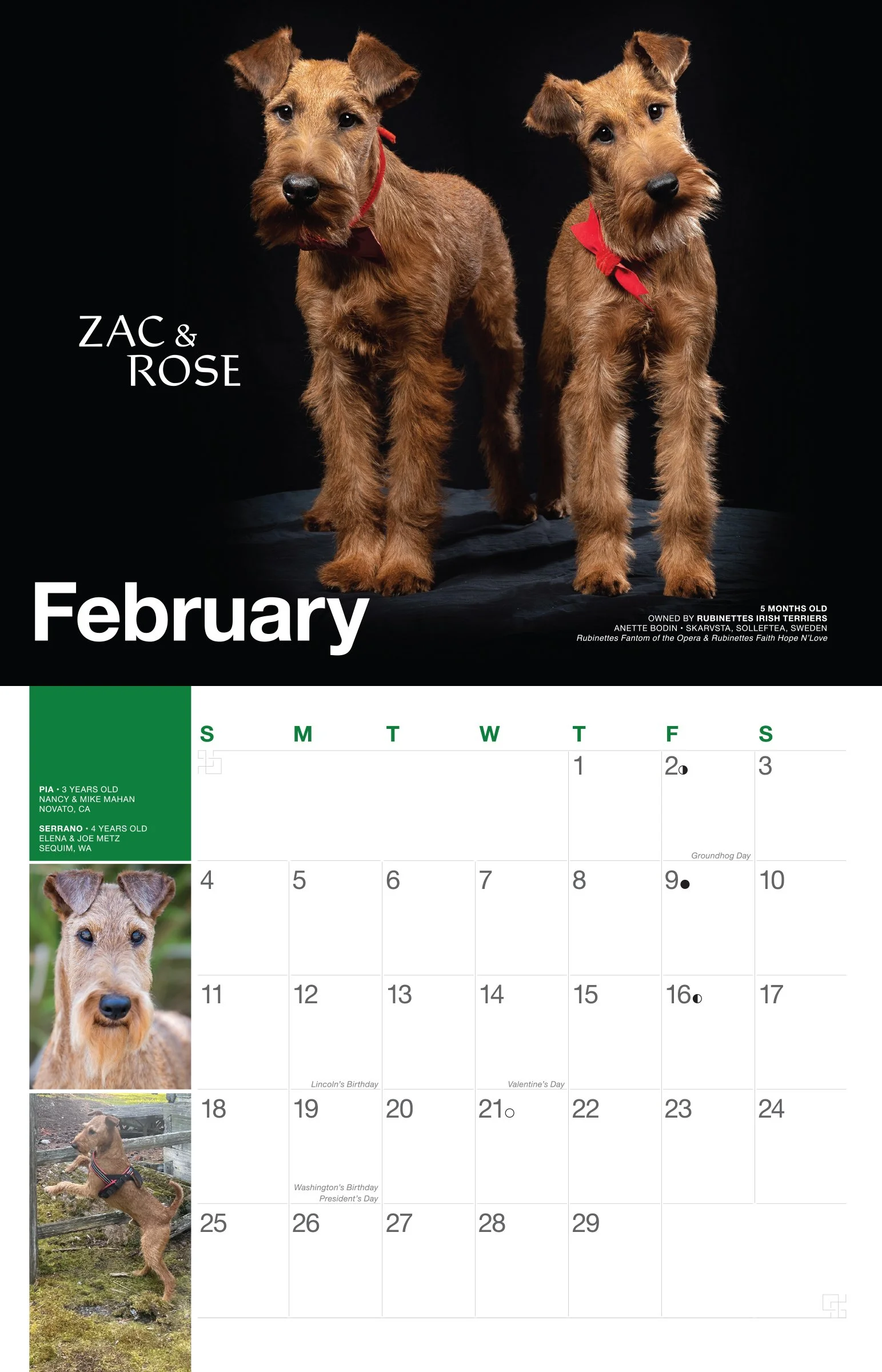 2024 Irish Terrier Calendar — Irish Terrier Club of Northern California