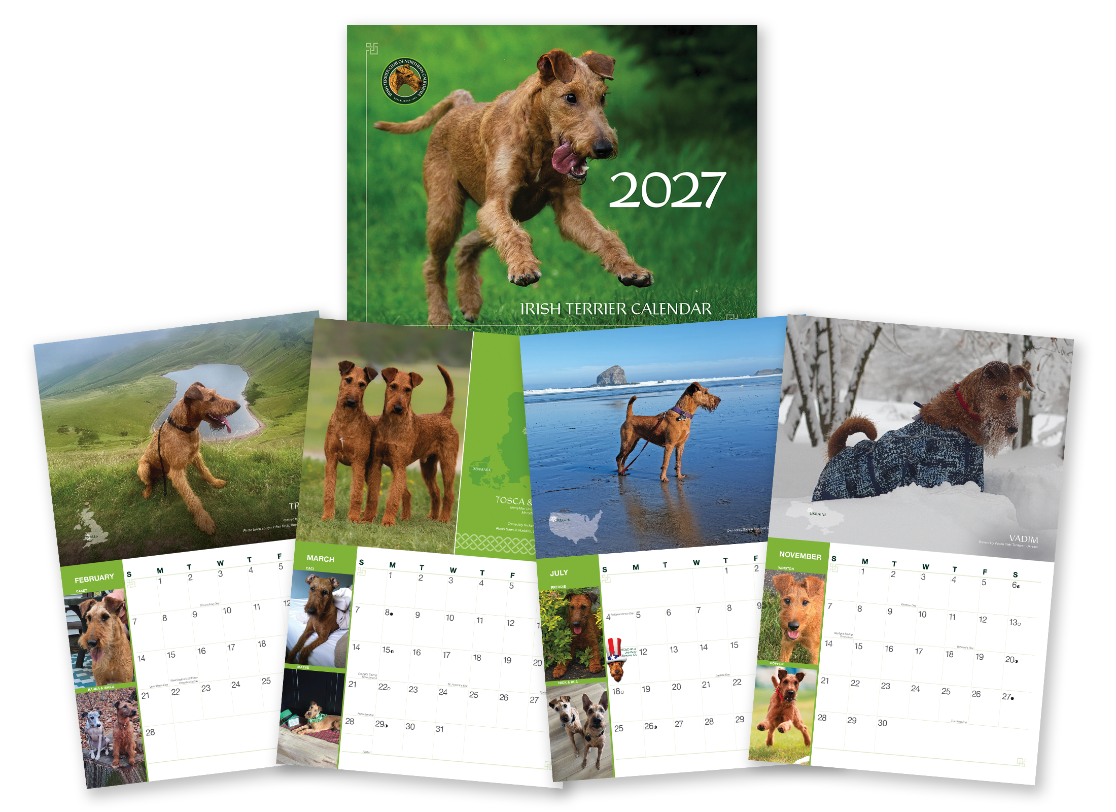2027 Irish Terrier Calendar from the Irish Terrier Club of Northern California, showing the cover and sample monthly Irish Terrier photos