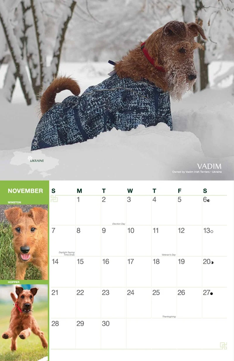 Irish-terrier-calendar-november.jpg
