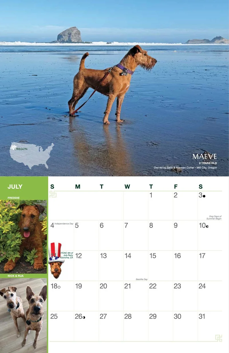 Irish-terrier-calendar-july.jpg