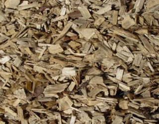 woodchips.jpg