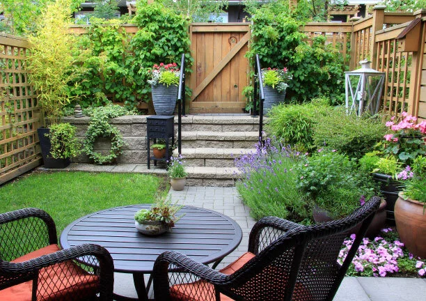 osd-summer-header.jpg