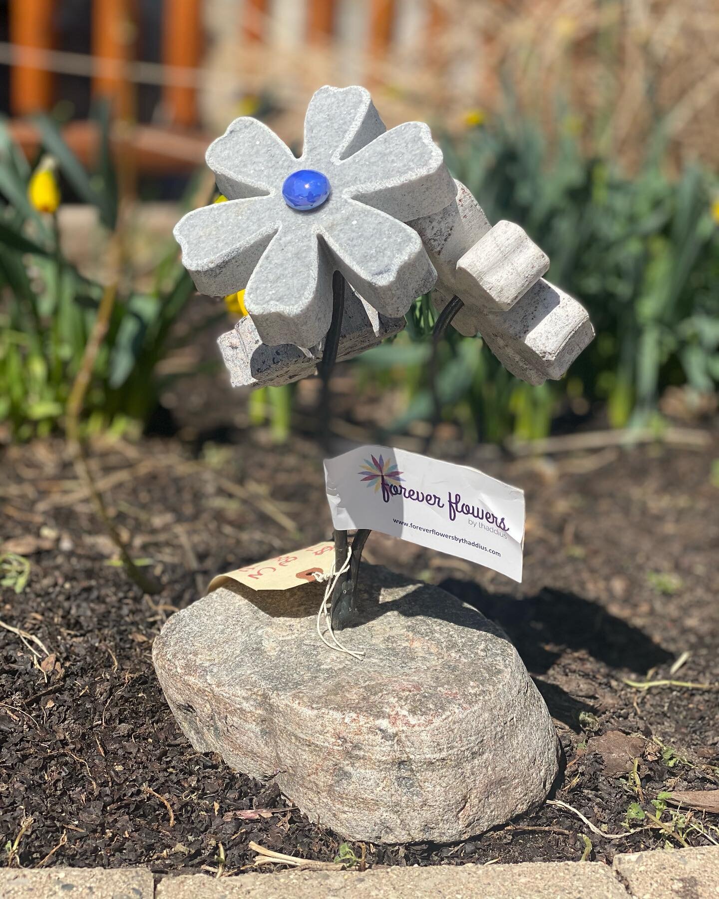 Forever flowers are back! Ideal gift for Easter, birthdays, and Mother's day! They come in a variety of colors, styles, and perfect addition to your outdoor landscape. Hurry on in to get your Forever Flowers while supplies last! 🌸 

April Hours:
Mon