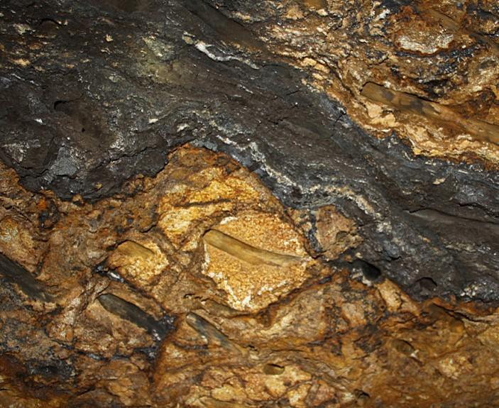 Gold Seam