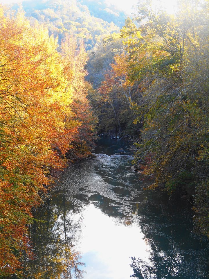 WIlder, Tennessee This beautiful picture of autumn colors is perfect for our subject since the boom town of Wilder has seen so many changes over the last century. Photo courtesy of Donnie Douglas