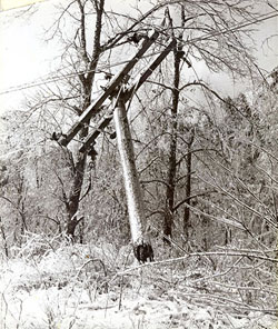 1960 Ice Storm, Dayton, TN From http://daytontn.net/history_60ice.php