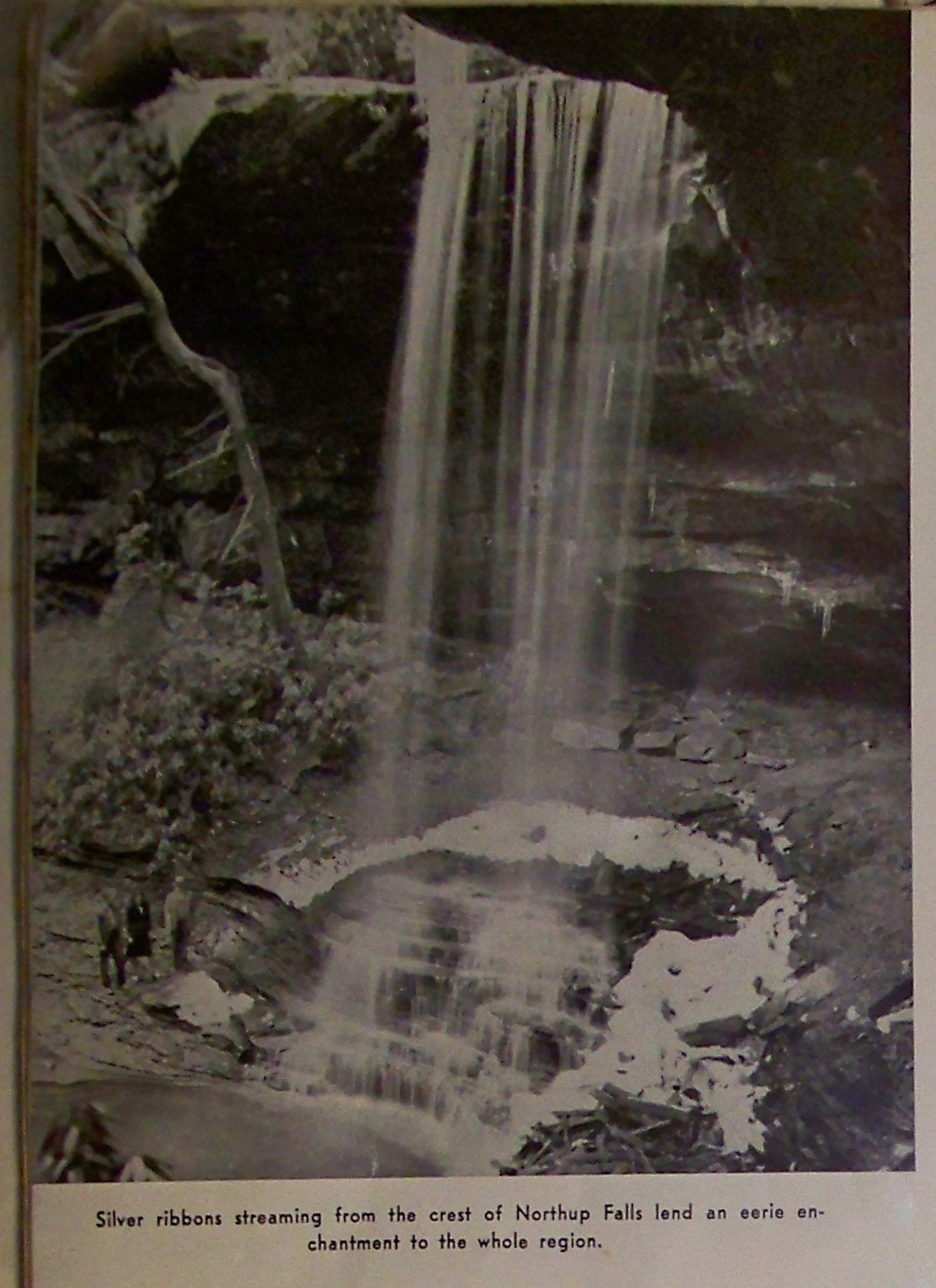 Northup Falls; You can still hike to it: Scott at Backwoods Adventures knew just where the trailhead is located.