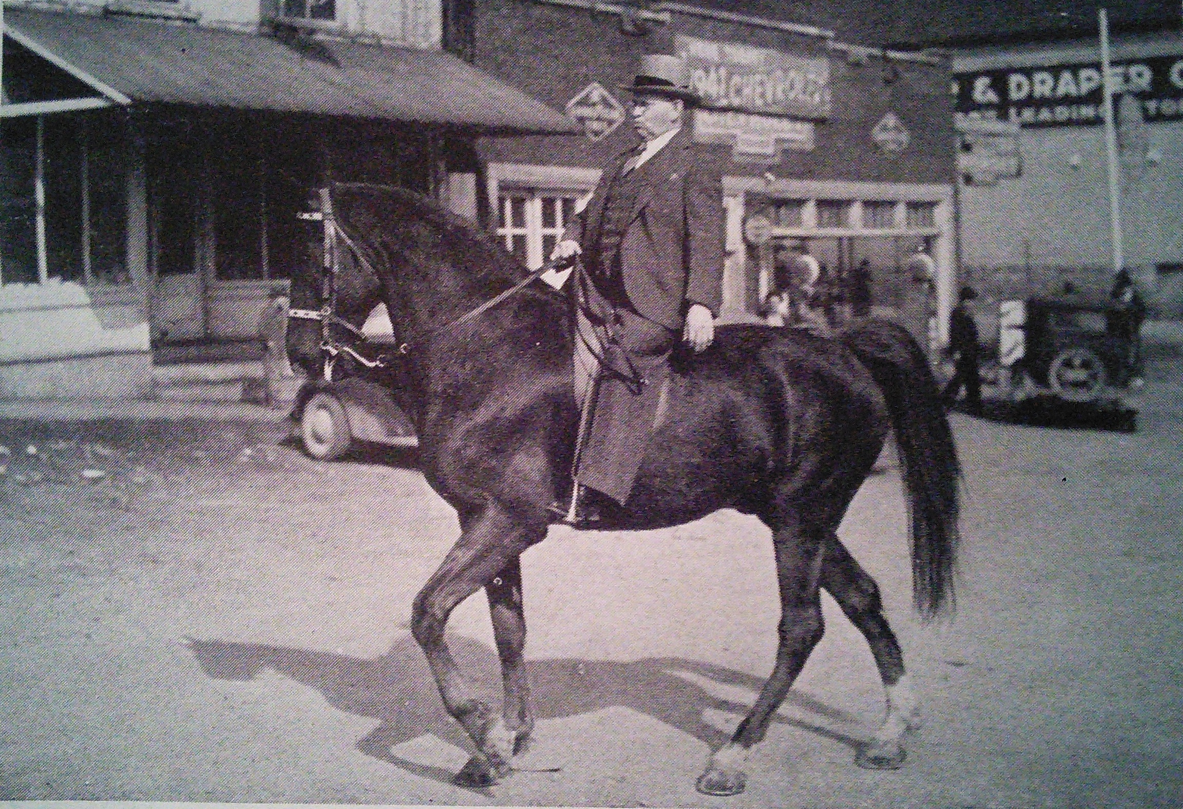 "Prince Cumberland" Owned by J. Mack Draper Ridden by Dr. Willis Baxter Boyd