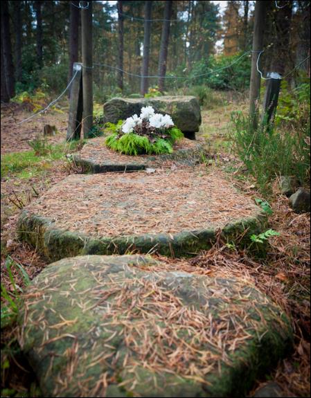 Plaque Graves near Culross Scotland