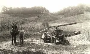 Molasses Mill JPG.jpg
