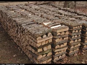Firewood.jpg