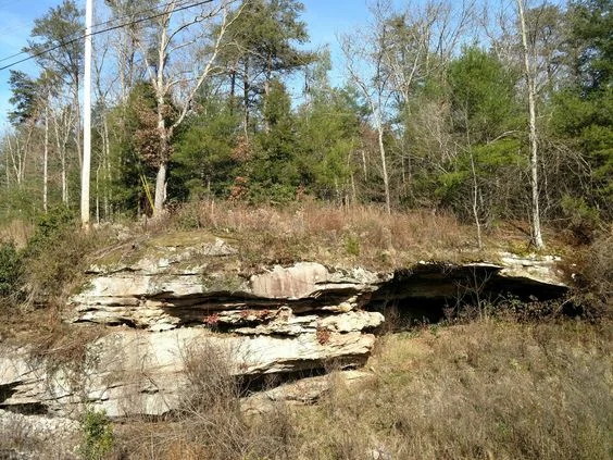 Flat rock on England Farm.jpg