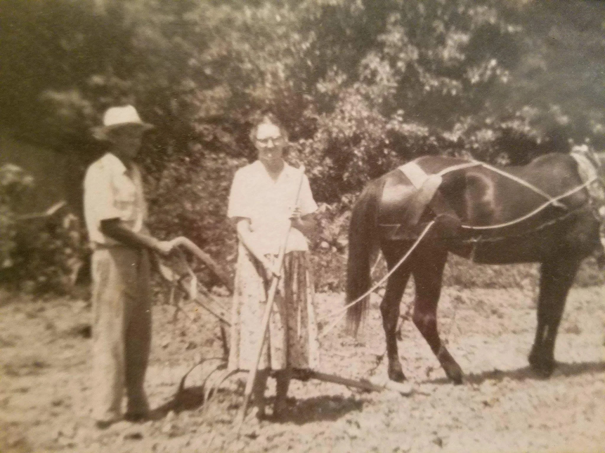 Lester and Mary Key working in the fields. It's not hard to find examples of work-brickle among this generation.