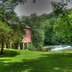 Wolf River at York Mill in Pall Mall, TN