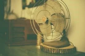 Fan.jpg