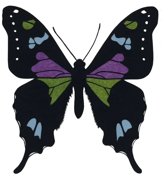 Graphium weiskei