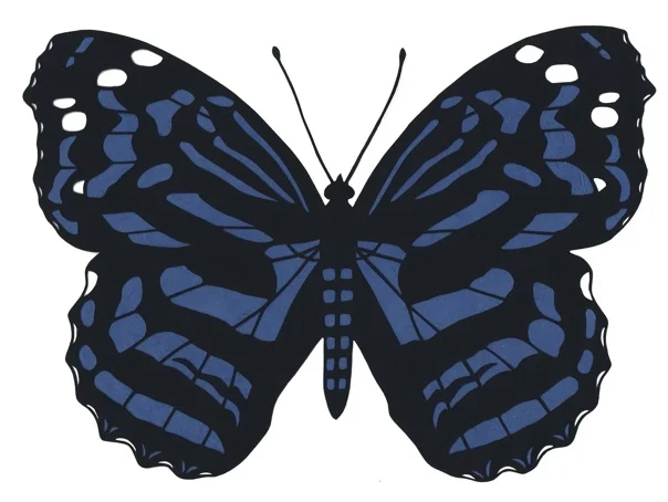 Myscelia ethusa