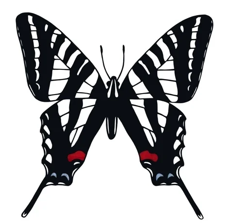 Photographium marcellus