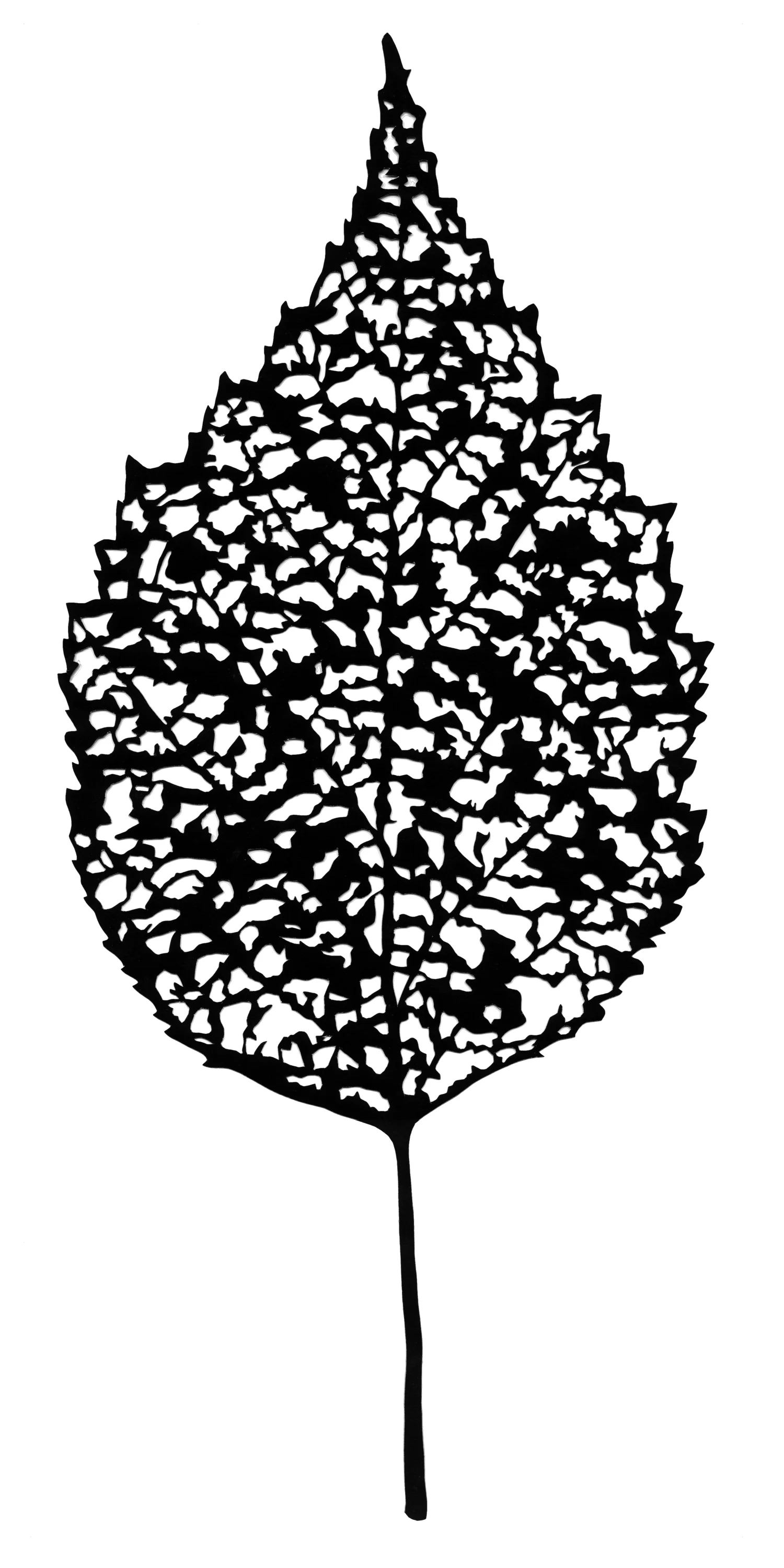 Japanese Beetle Art II
