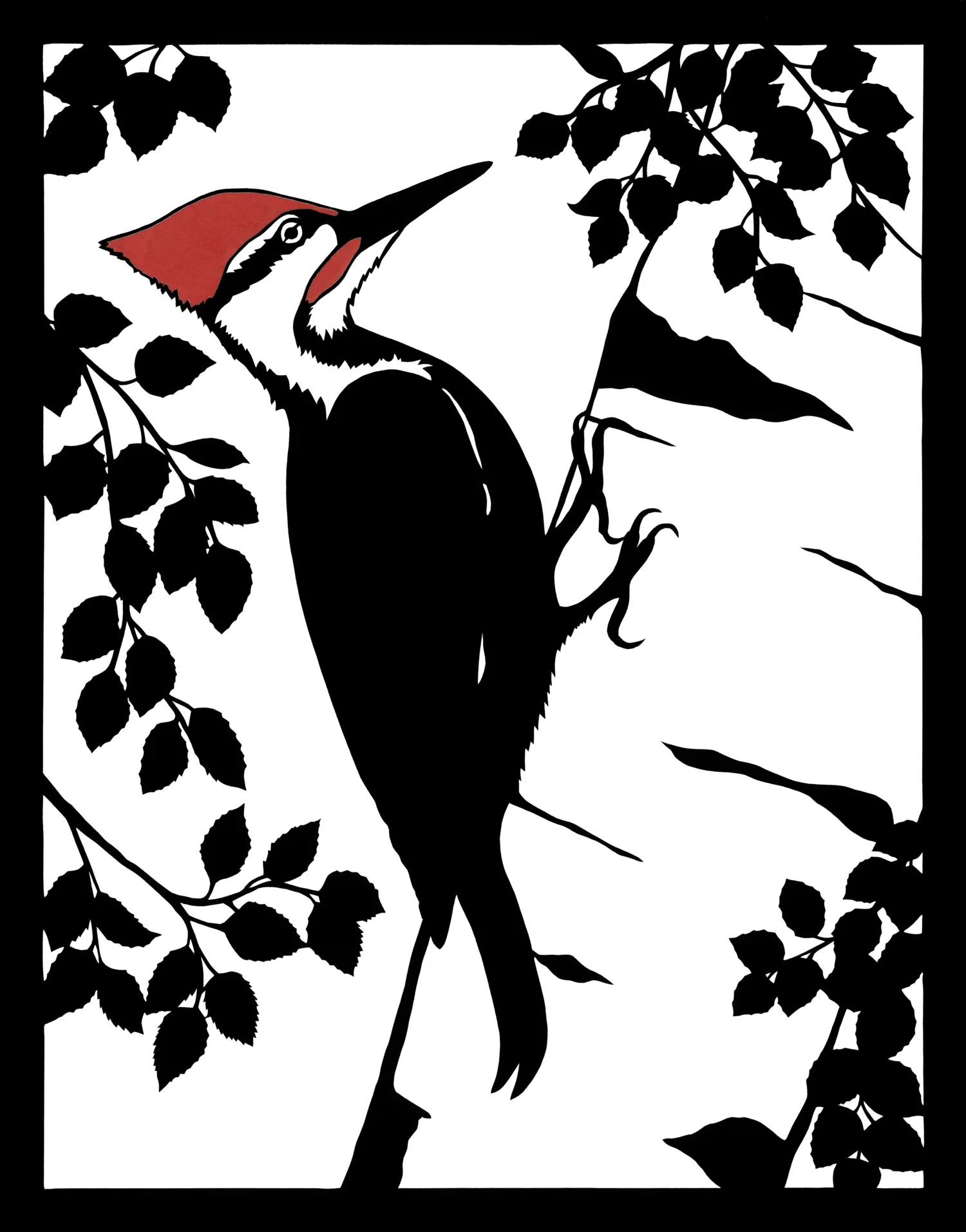 Pileated Woodpecker