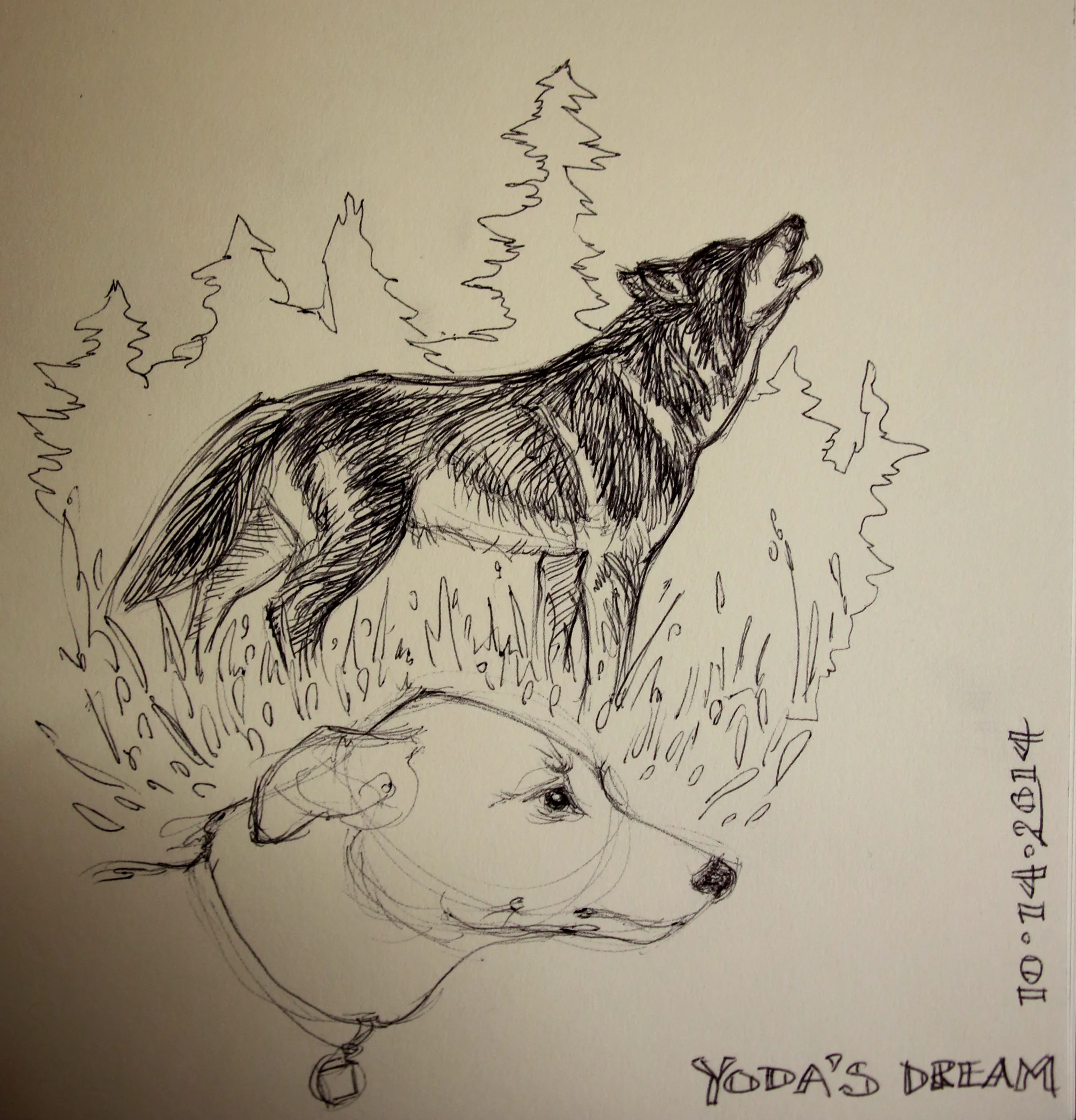 YodaDream Sketch1.jpg
