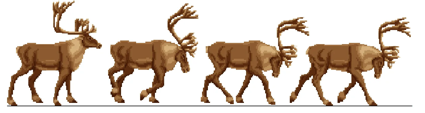 Moose1.jpg