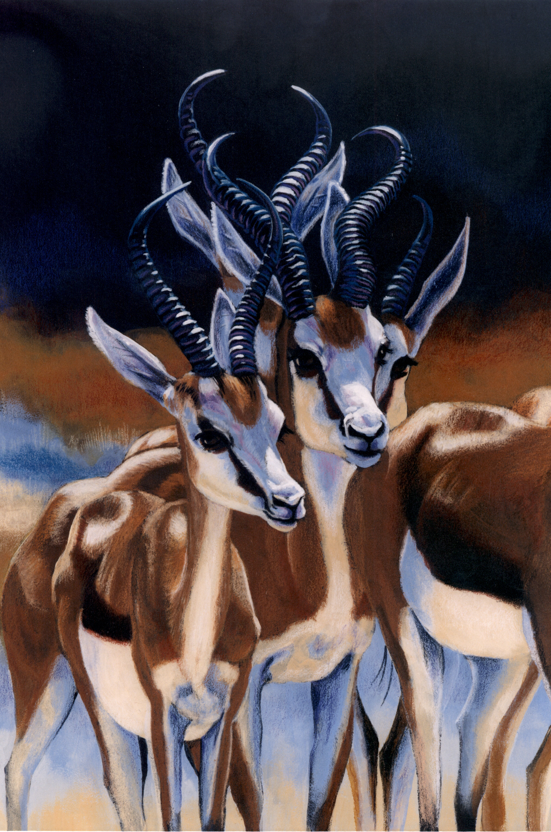Gazelles2.jpg