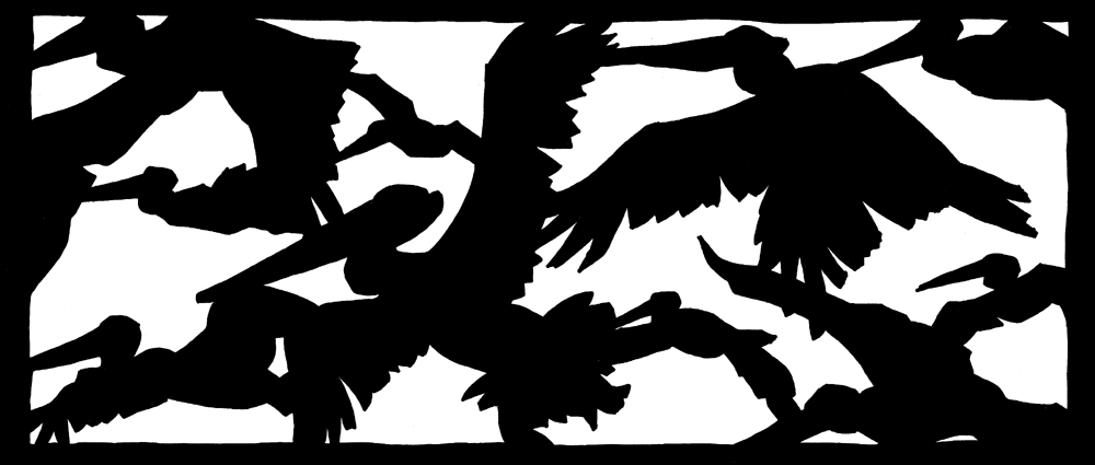 SmallPelicans1.jpg