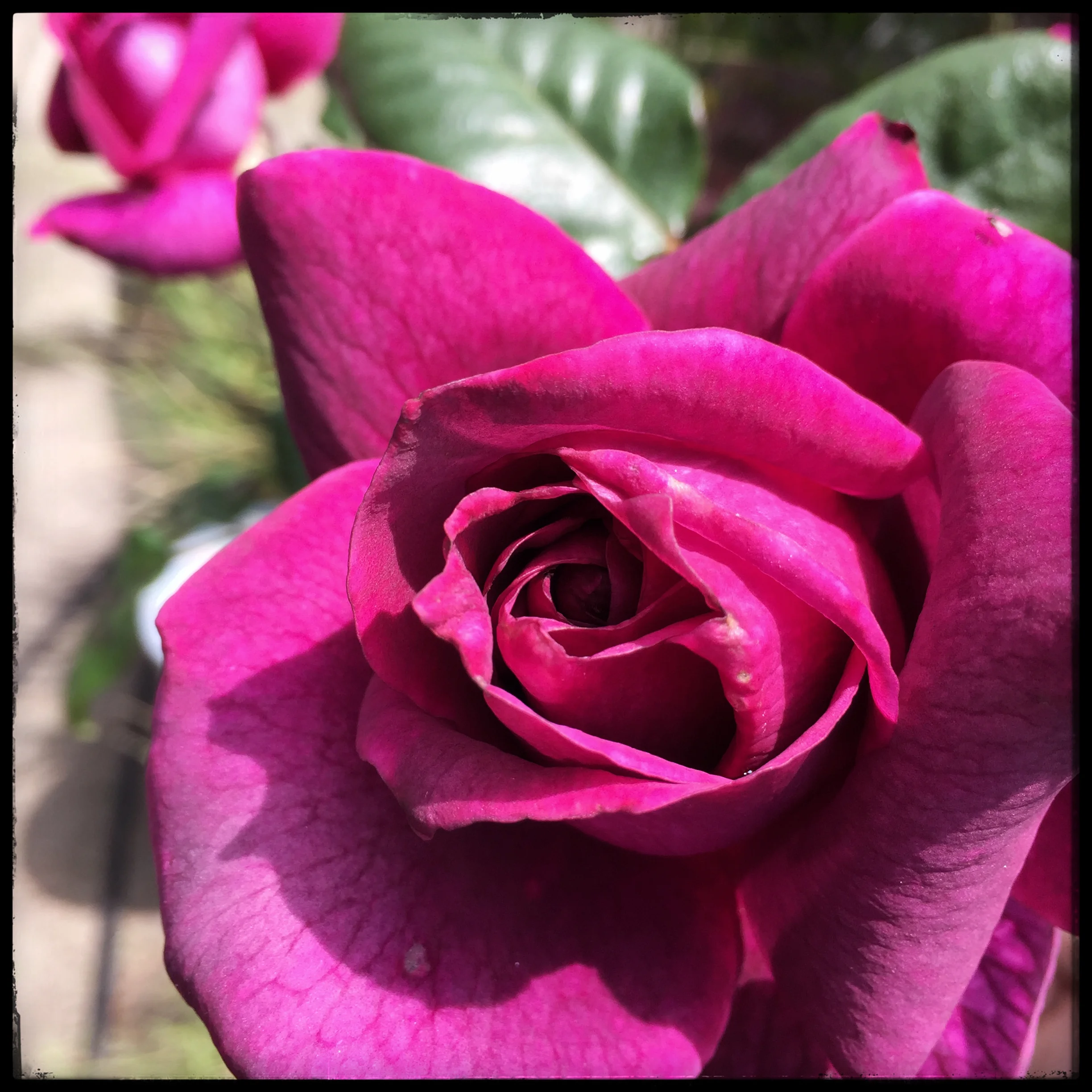 2018-05-05 10.49.37.jpg