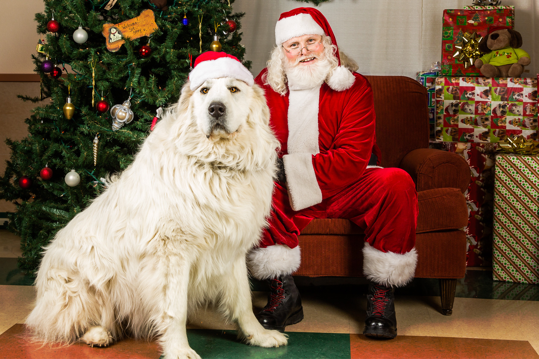 0743SantaPaws13_.jpg