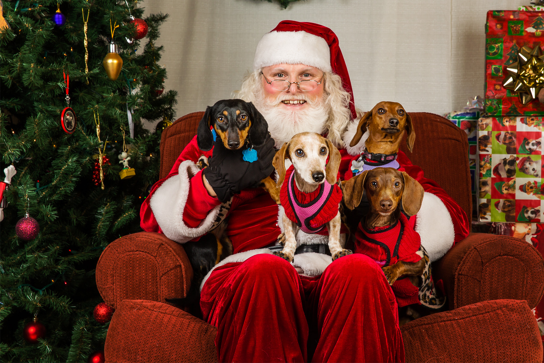 0770SantaPaws13_.jpg