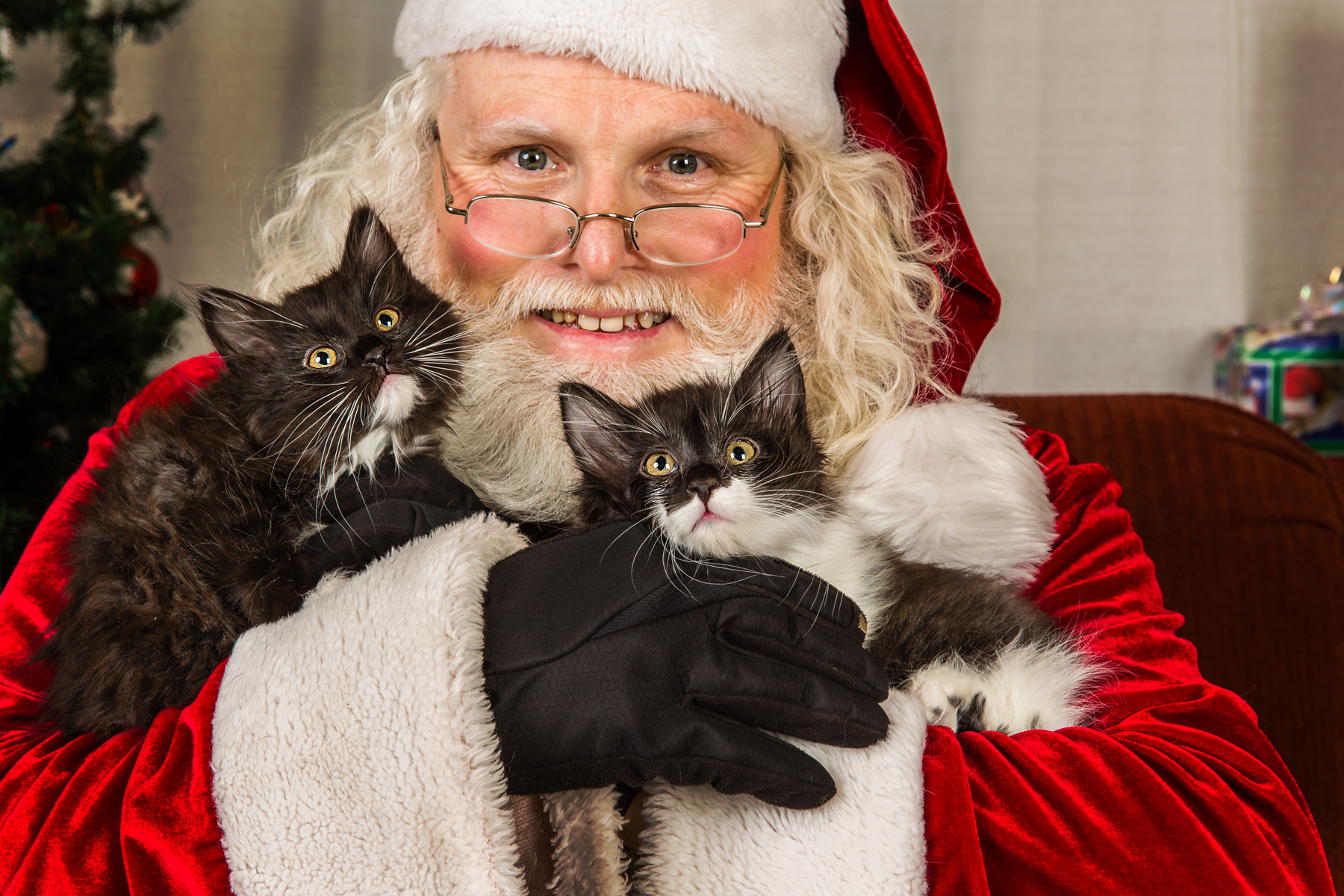 0998SantaPaws13_.jpg