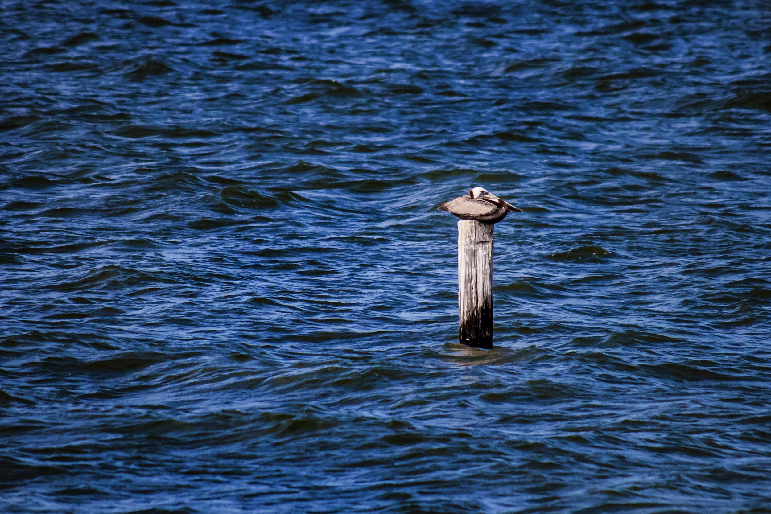 DSC_1757.jpg
