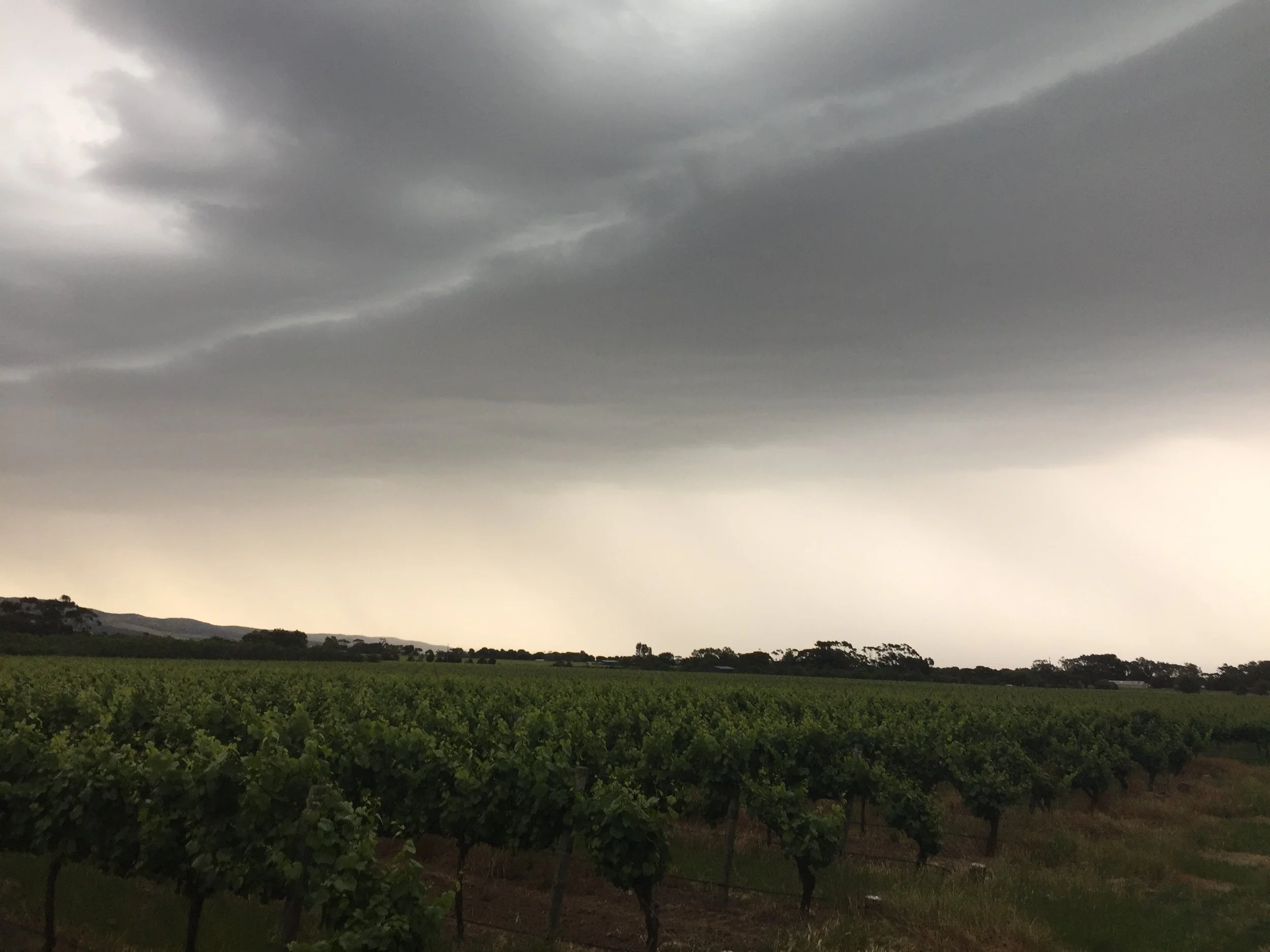 Storm cell over McLaren Vale: Dec 2016.