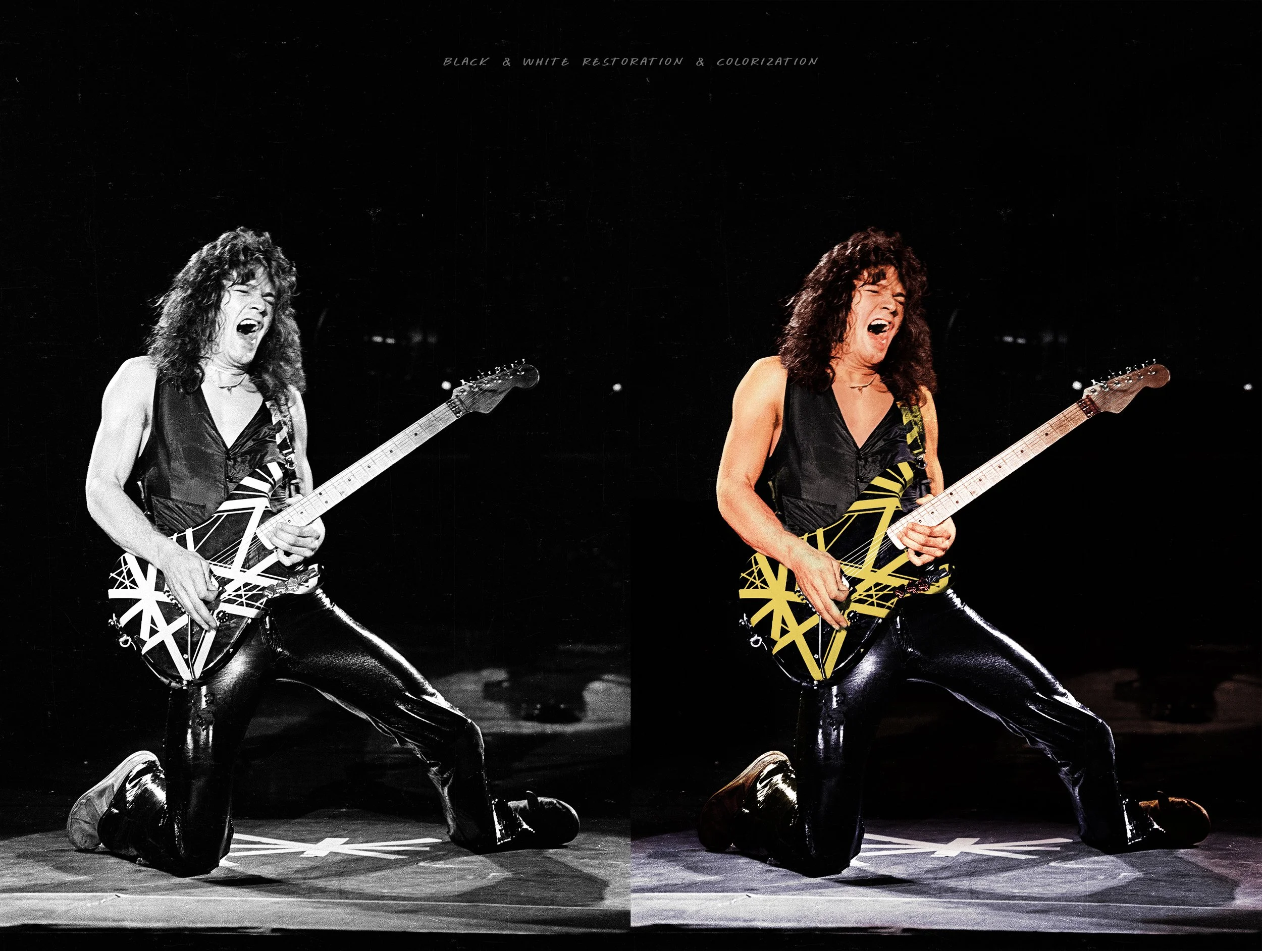 halen618x24.jpg