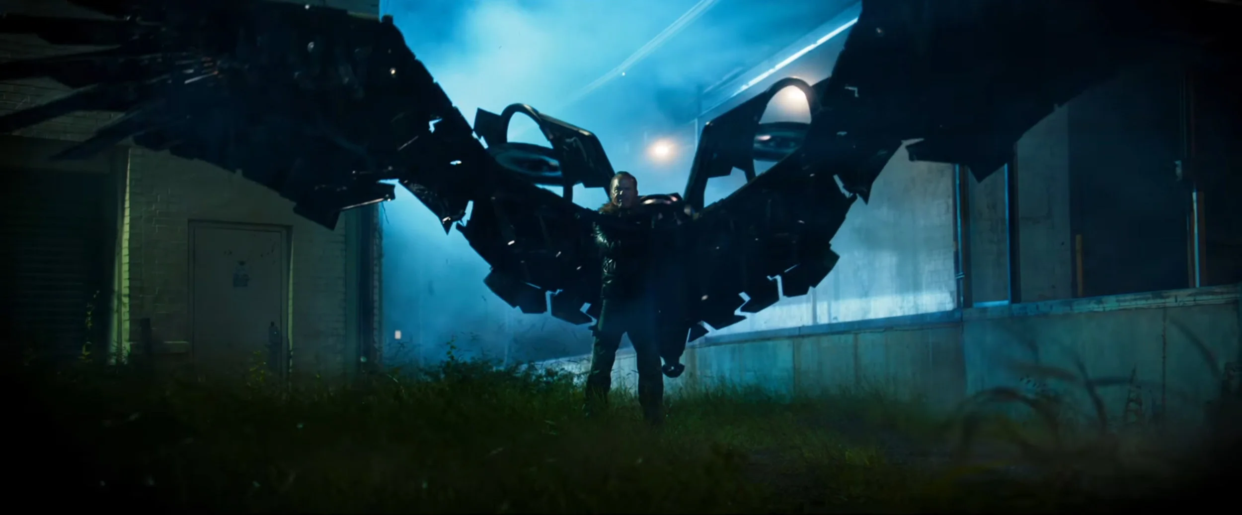 CG wings all textures and UVs done by myself lookdev by Kieran Tether