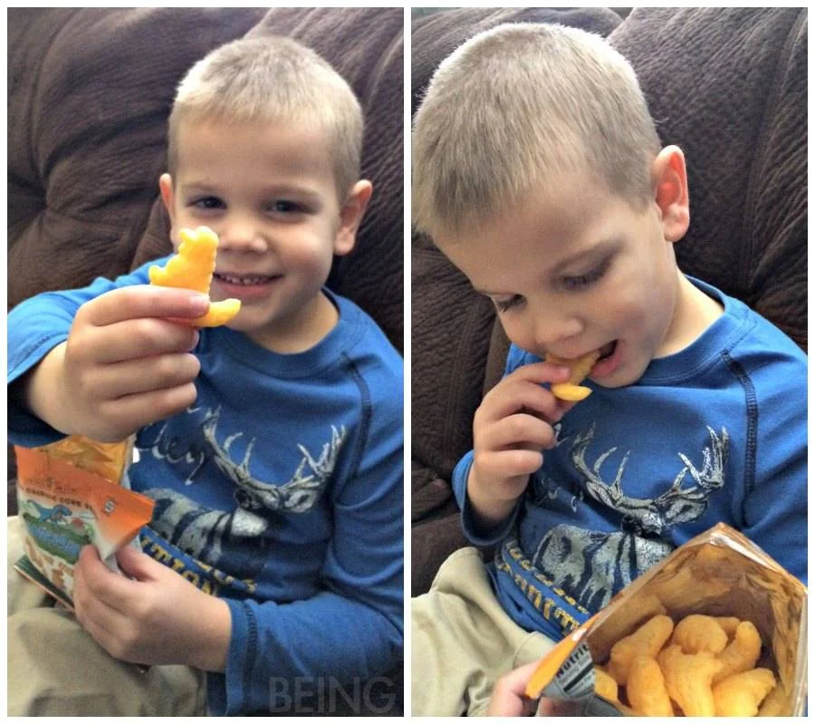 citrus_lane_cheese_snack_collage.jpg