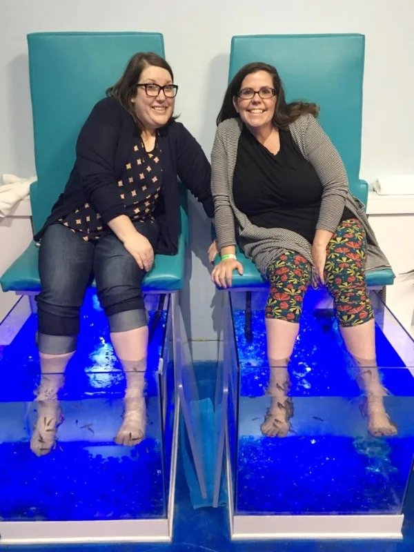 seaquest_fish_spa.jpg