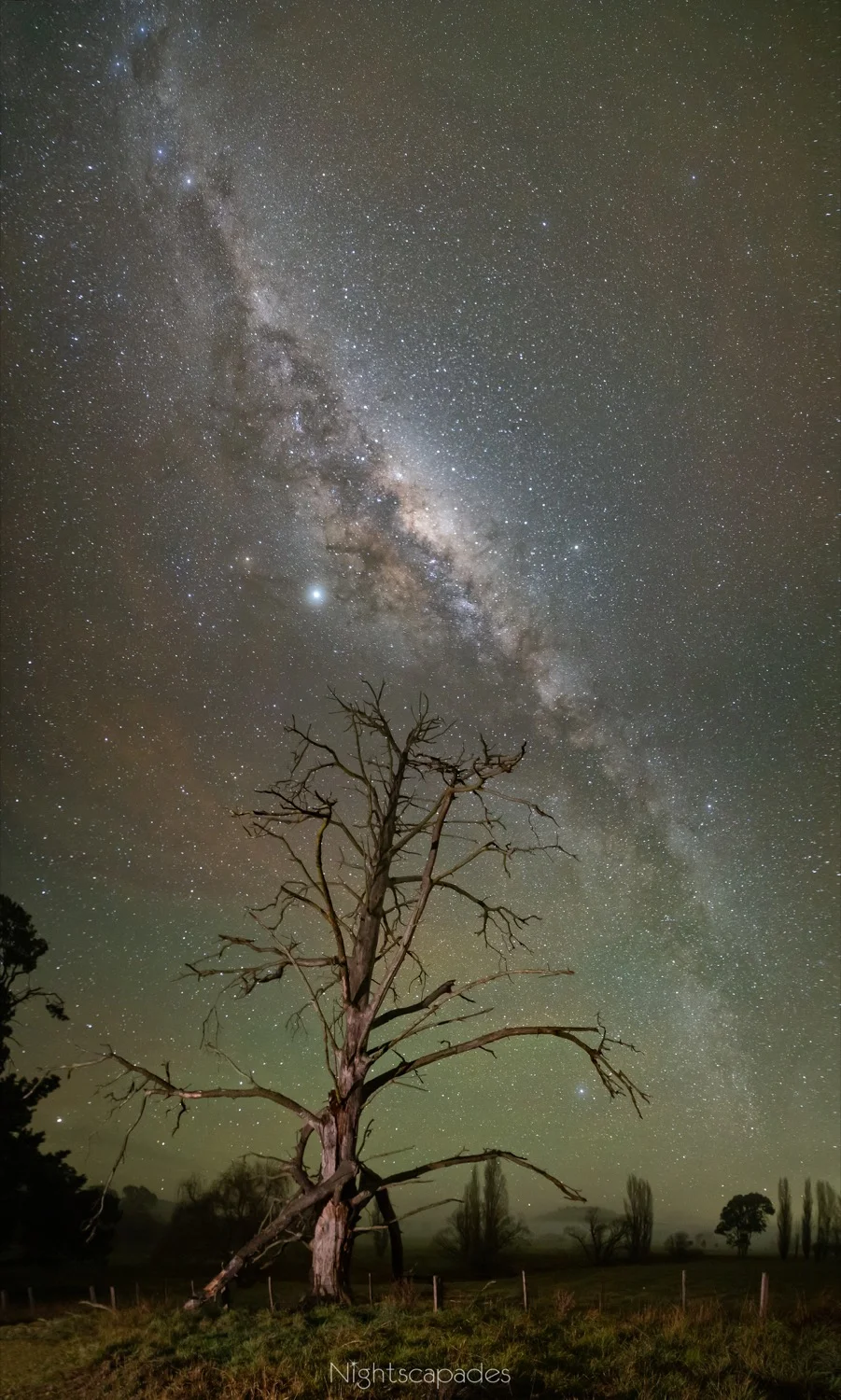 Death and light at Big Hill