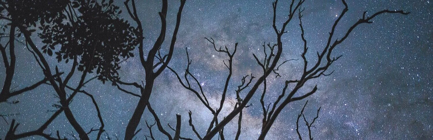 %E2%80%9Cwe-all-travel-the-milky-way-together%2C-trees-and-men%E2%80%9D-.jpg