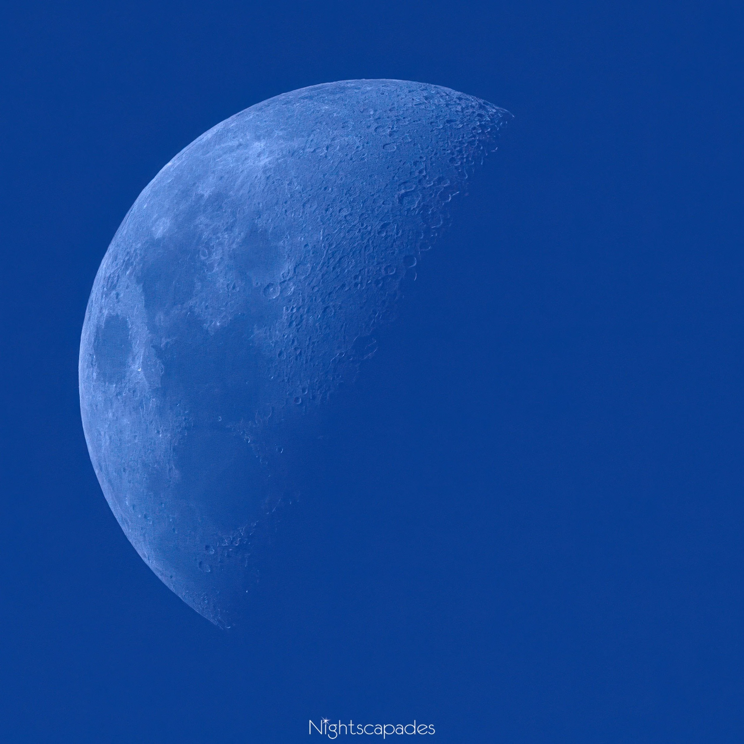 Sometimes it’s the Beauty