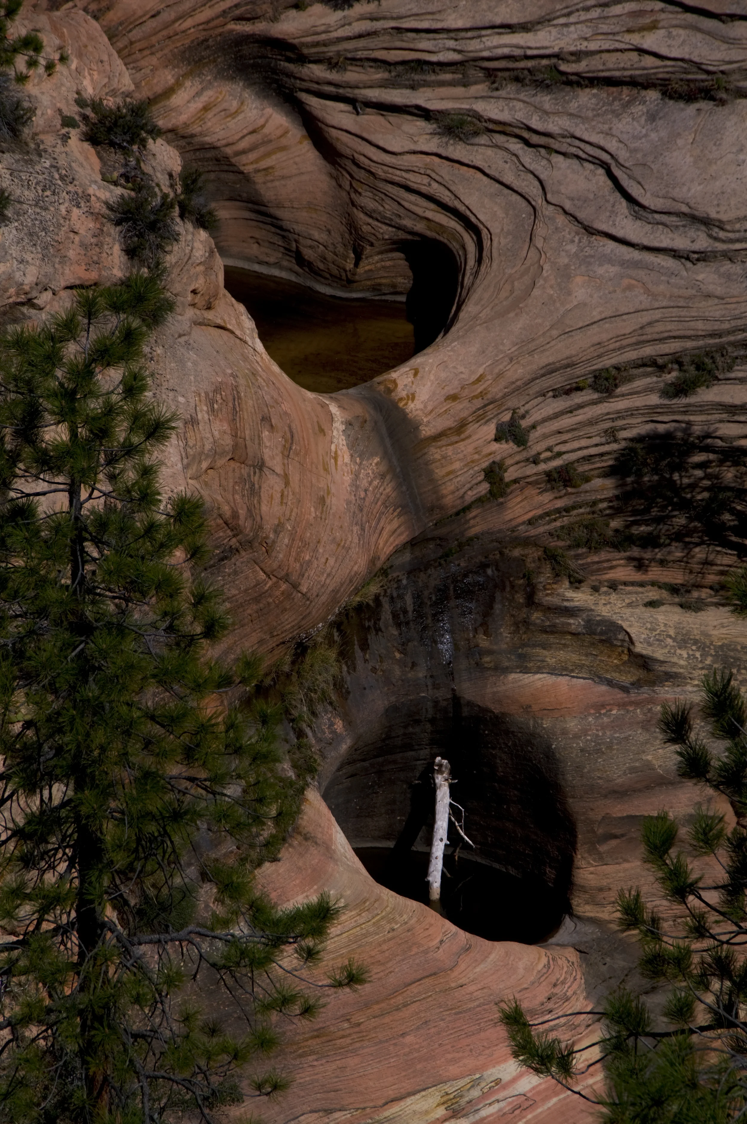 zion holea 2 jpeg IMGP9757.jpg