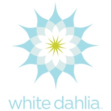 White Dahlia.jpg