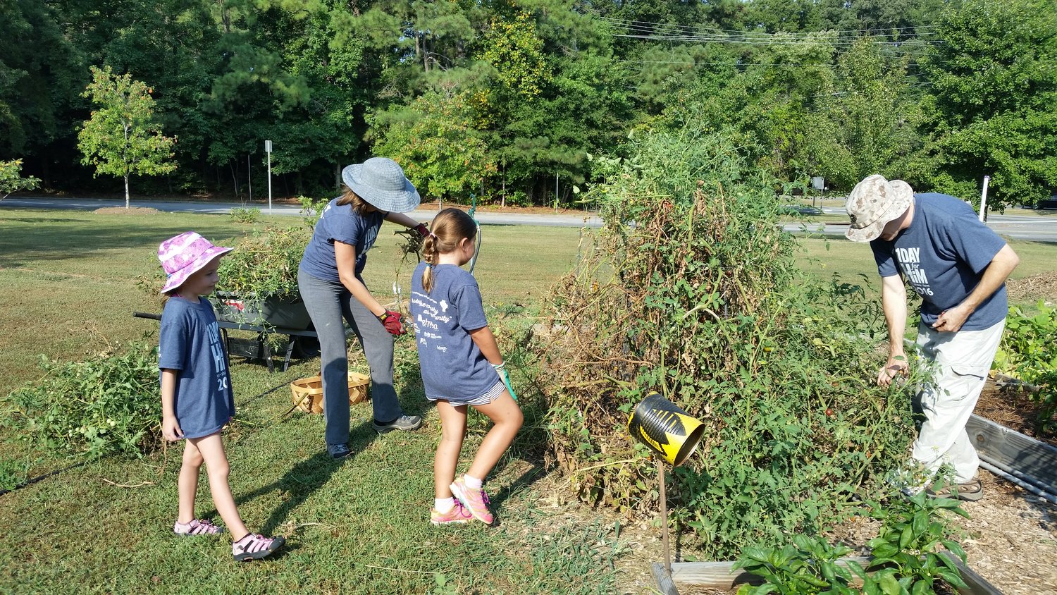 Volunteer In The Garden Alliance Medical Ministry Providing Volunteer In The Garden Alliance Medical Ministry Providing