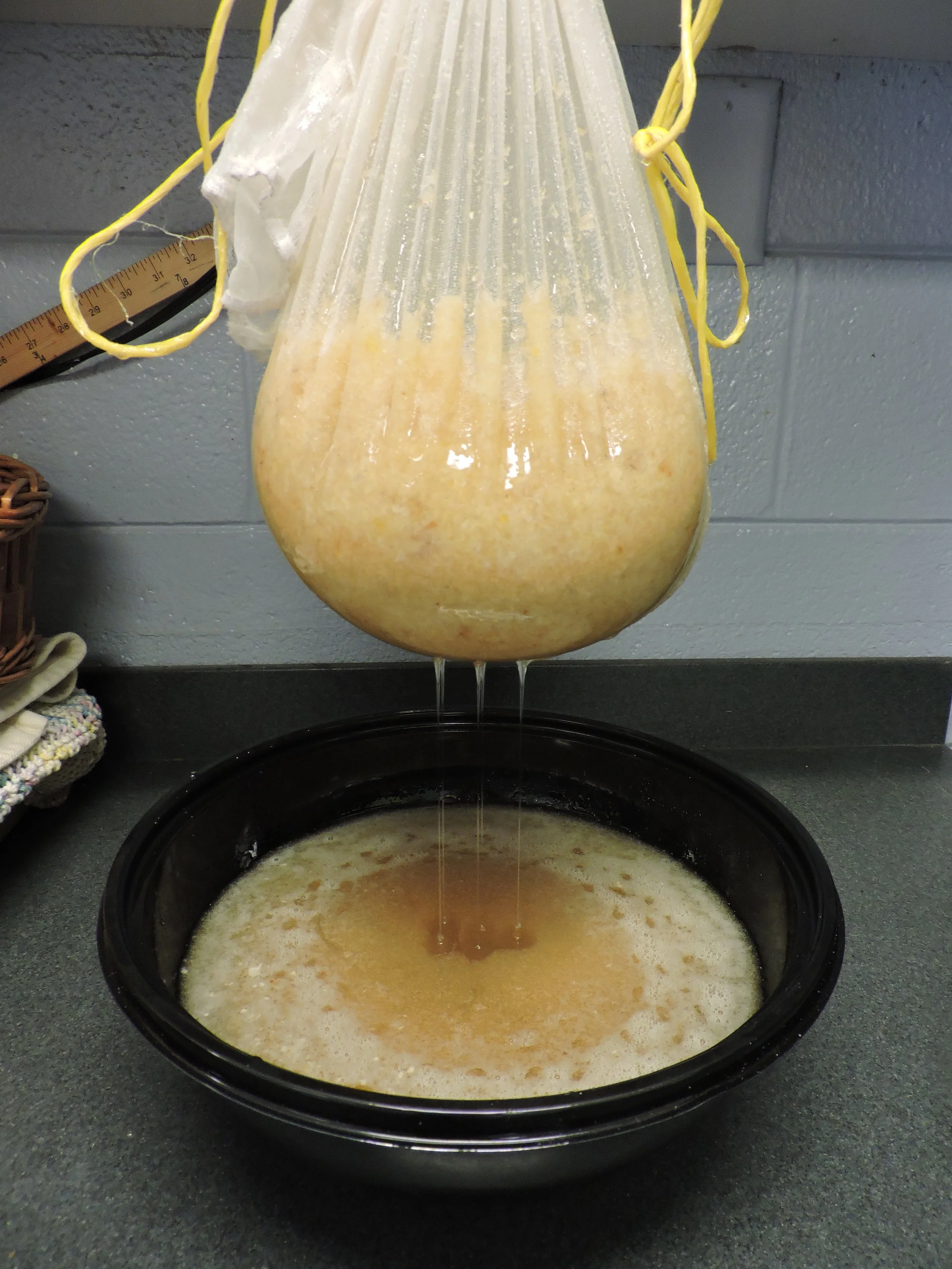 Clockwise from top left: A frame of honey from one of the Alliance hives before removing the wax capping. Honey dripping out of cheese cloth. Removing the wax capping from a frame of honey.